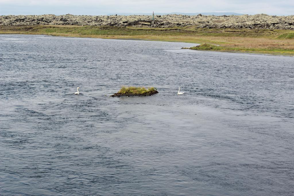 Eldhraun Guesthouse South Iceland Zewnętrze zdjęcie